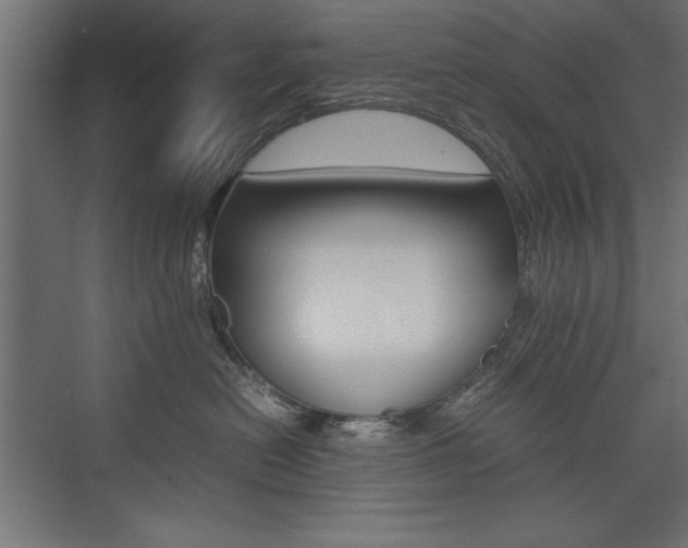 X0000074030478200608211141