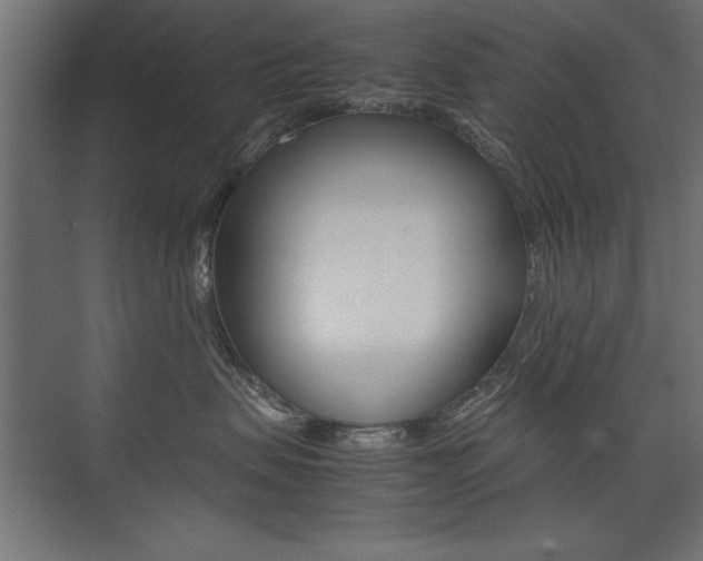 X0000074030479200608211141