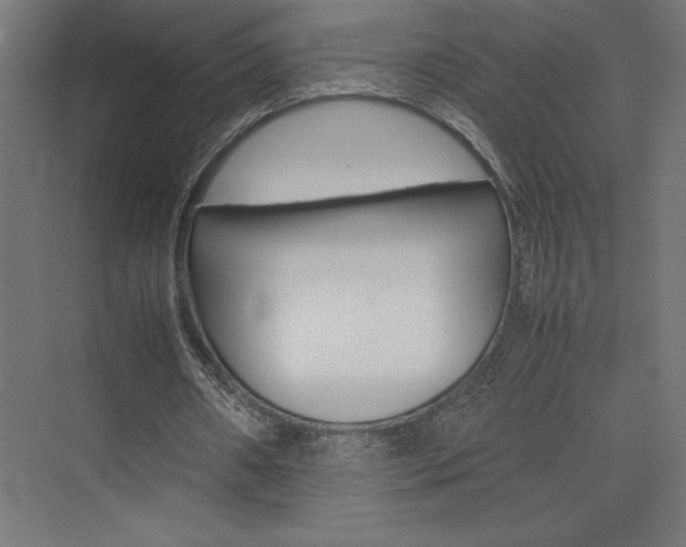 X0000074030482200608211140