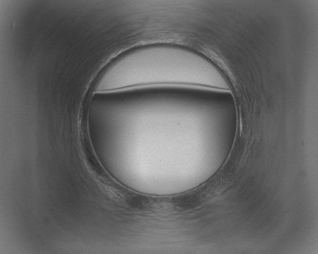 X0000074030483200608211140