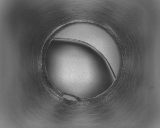 X0000074030484200608211140
