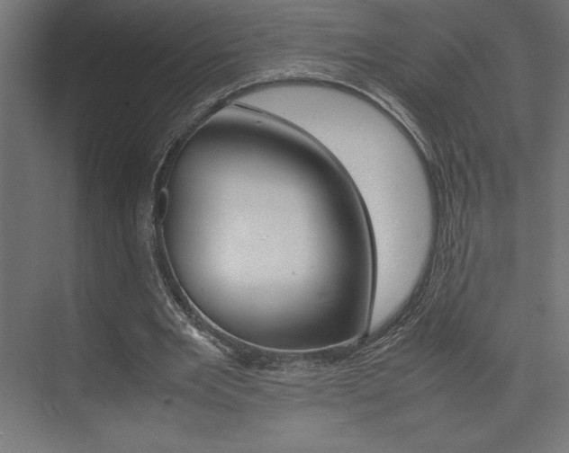 X0000074030485200608211140