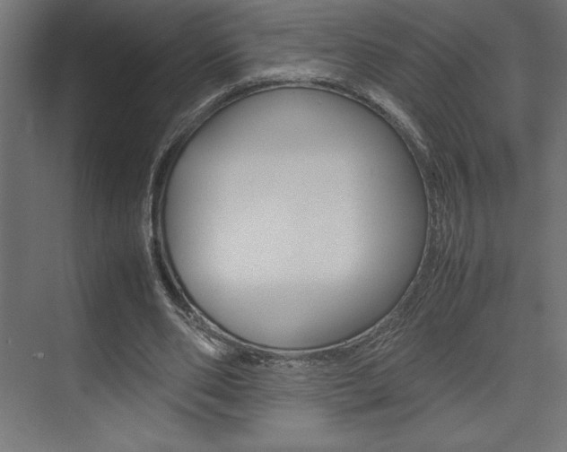 X0000074030486200608211140