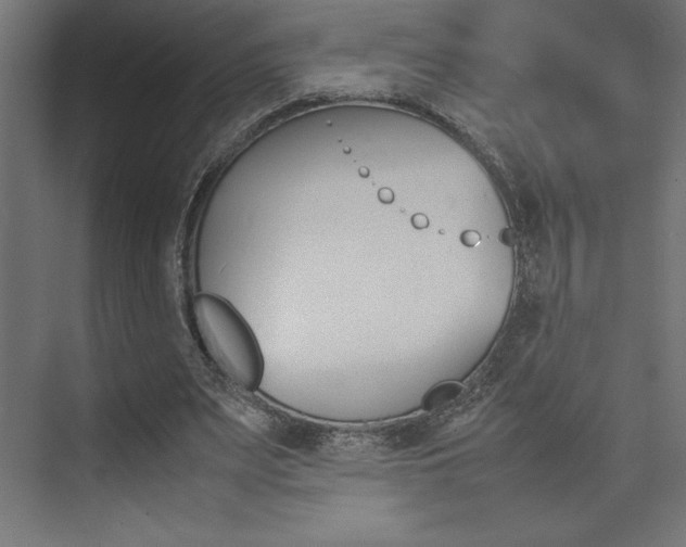X0000074030487200608211140