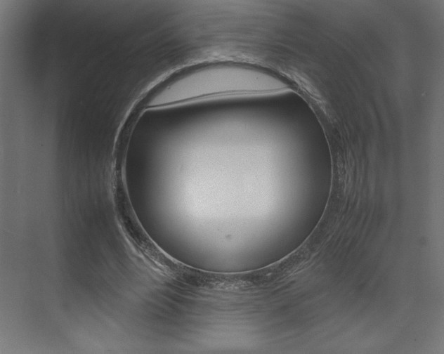 X0000074030488200608211140