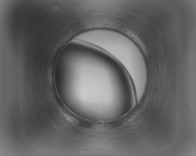 X0000074030489200608211140