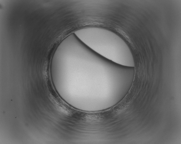 X0000074030490200608211140