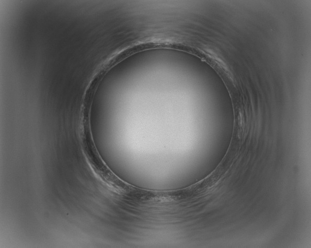 X0000074030492200608211140