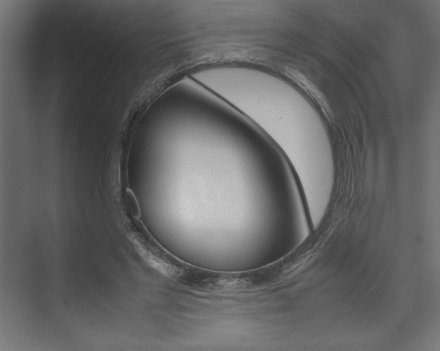 X0000074030493200608211140