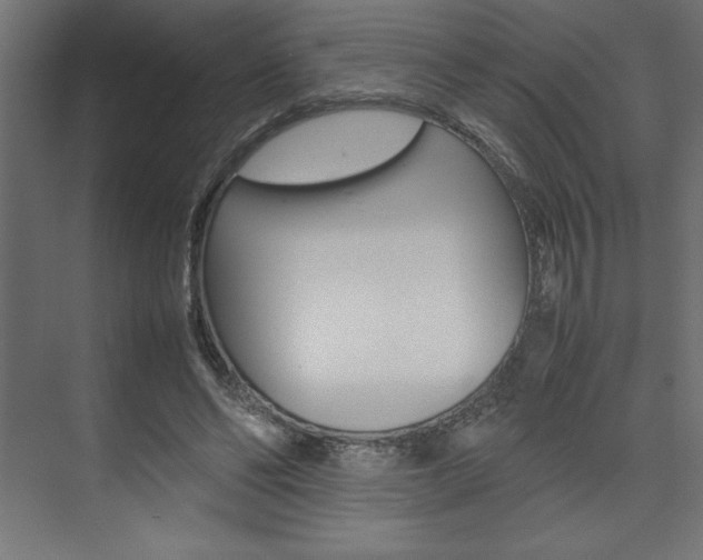X0000074030494200608211140