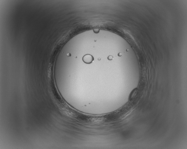 X0000074030495200608211140