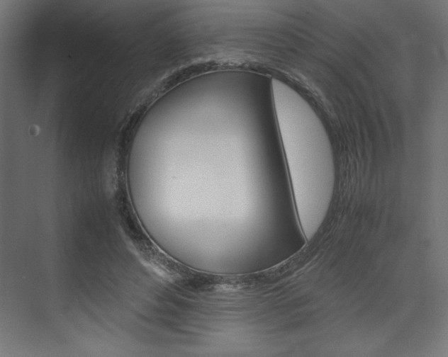X0000074030496200608211140