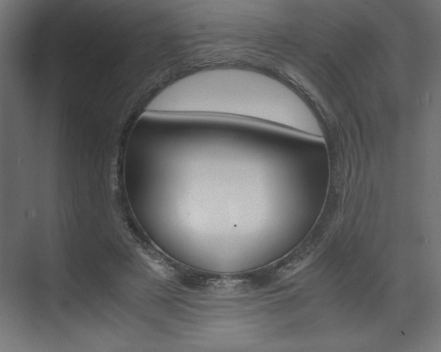X0000074030497200608211140