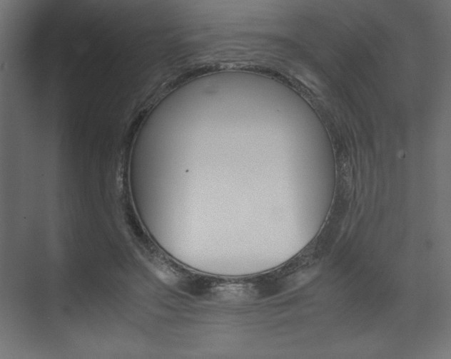 X0000074030499200608211140