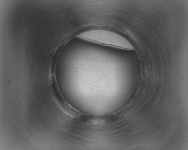 X0000074030500200608211140