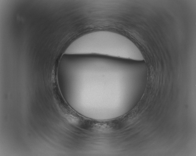 X0000074030502200608211140
