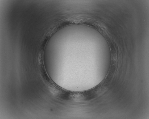 X0000074030503200608211140