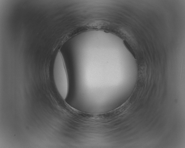 X0000074030504200608211140