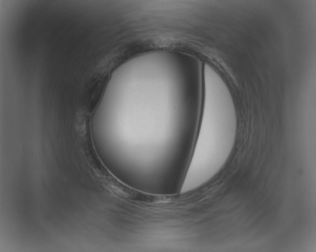X0000074030505200608211140