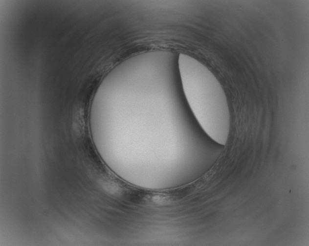 X0000074030506200608211140