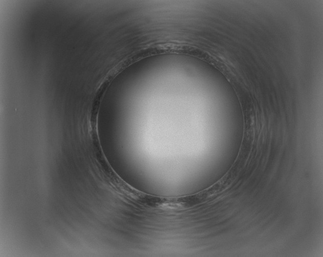 X0000074030508200608211140