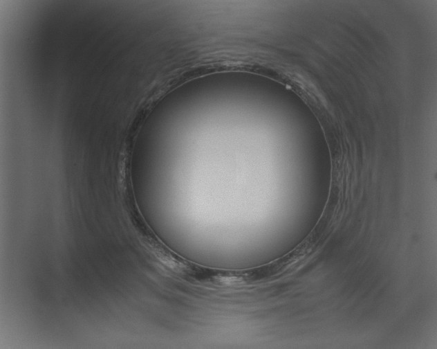X0000074030509200608211140