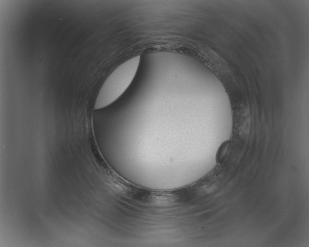 X0000074030510200608211140
