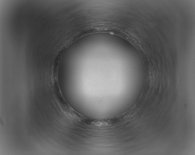 X0000074030512200608211139