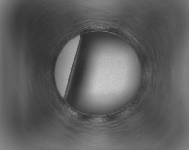 X0000074030513200608211139
