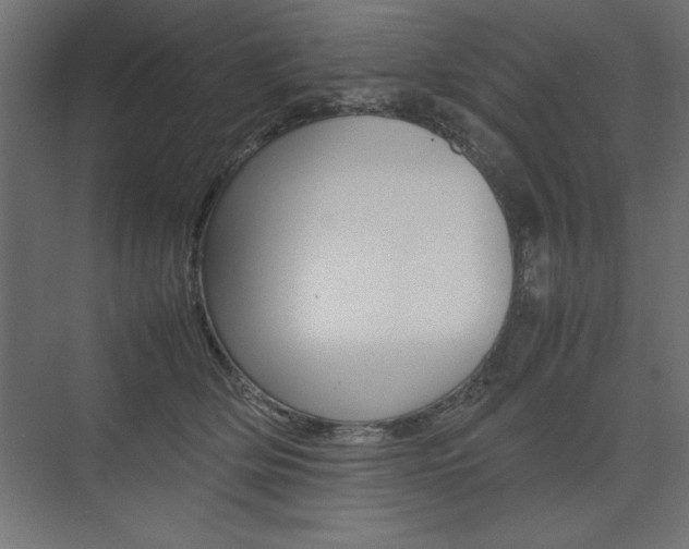 X0000074030514200608211139