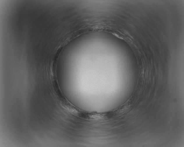 X0000074030516200608211139