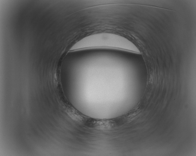 X0000074030524200608211139