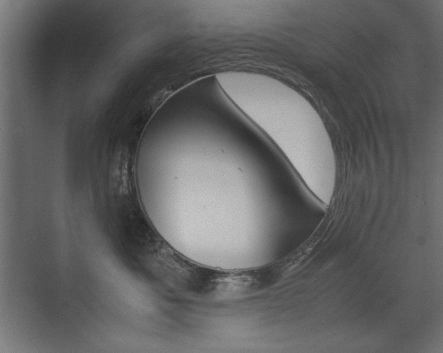 X0000074030525200608211139
