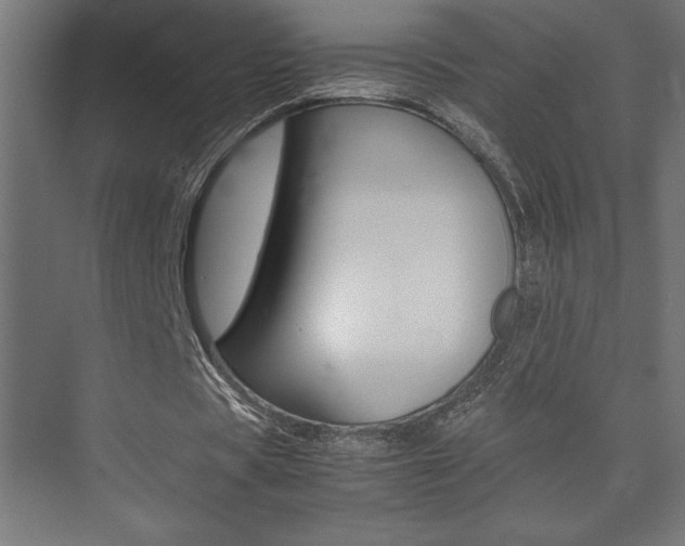 X0000074030529200608211138