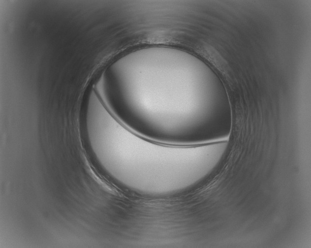 X0000074030530200608211138