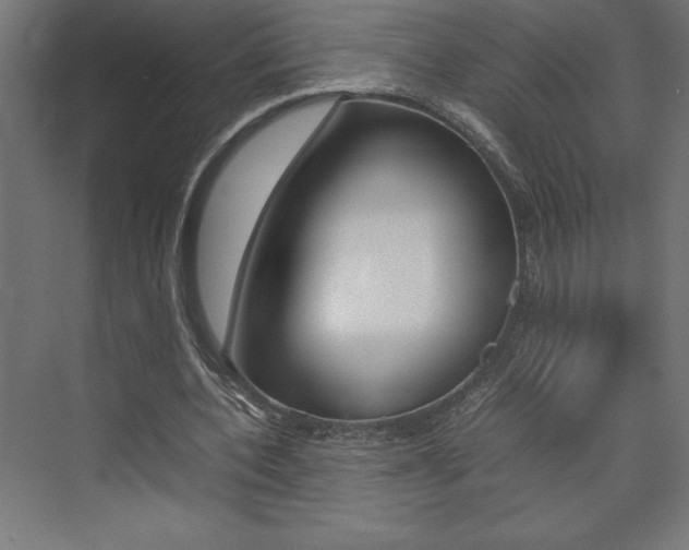 X0000074030532200608211138