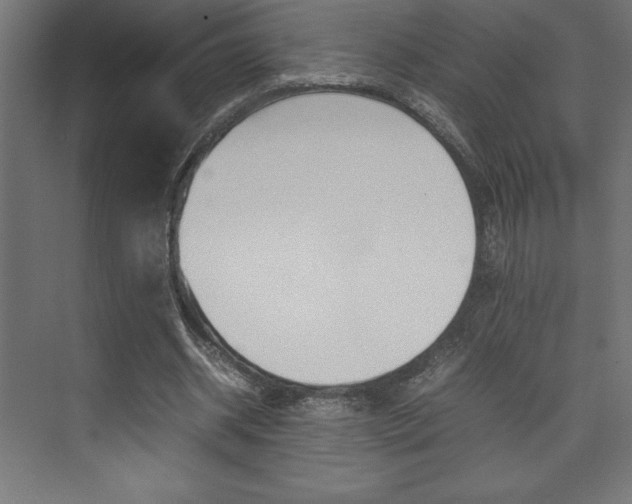 X0000074030534200608211138
