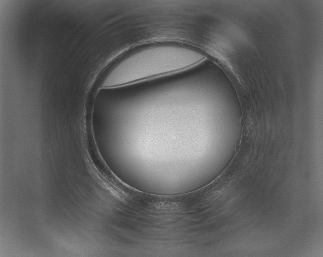 X0000074030535200608211139