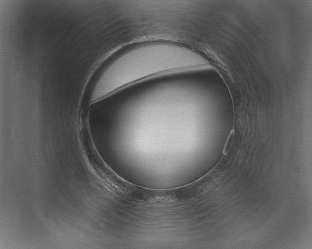 X0000074030536200608211139