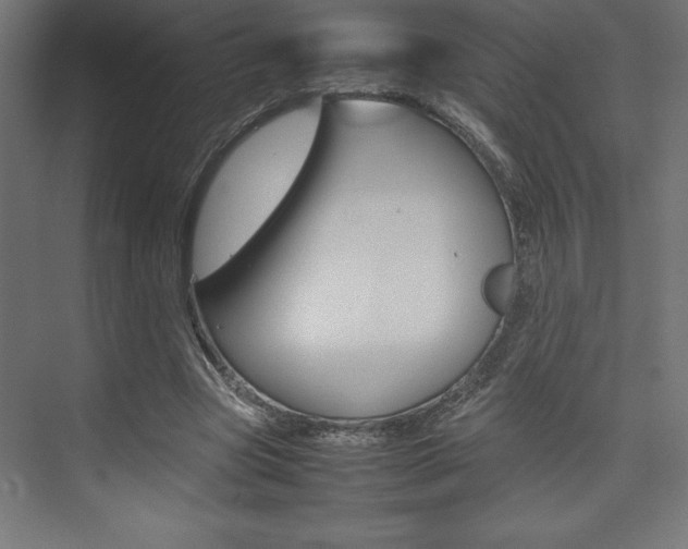 X0000074030537200608211139