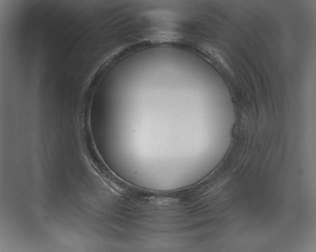 X0000074030539200608211139