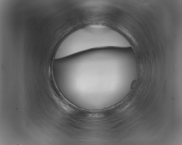 X0000074030541200608211139