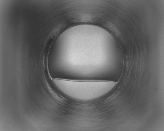 X0000074030542200608211139