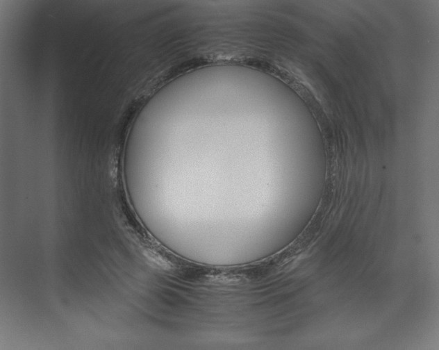 X0000074030545200608211139