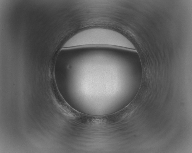 X0000074030546200608211139