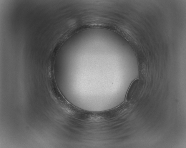X0000074030547200608211139
