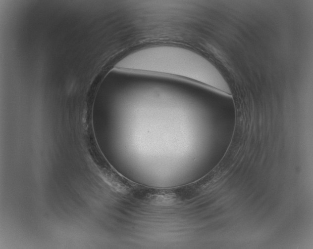 X0000074030548200608211139