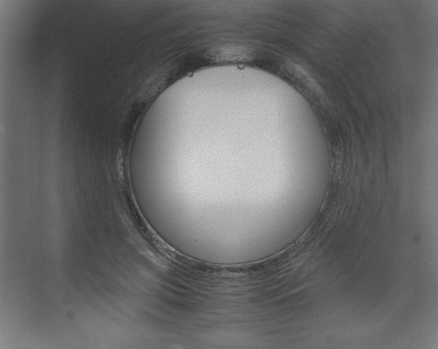 X0000074030549200608211139