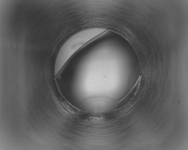 X0000074030552200608211139