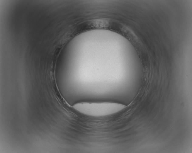 X0000074030553200608211139